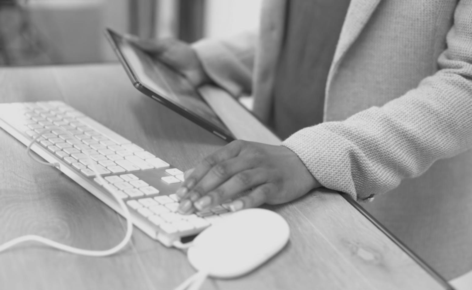 Database management and content updating workflow